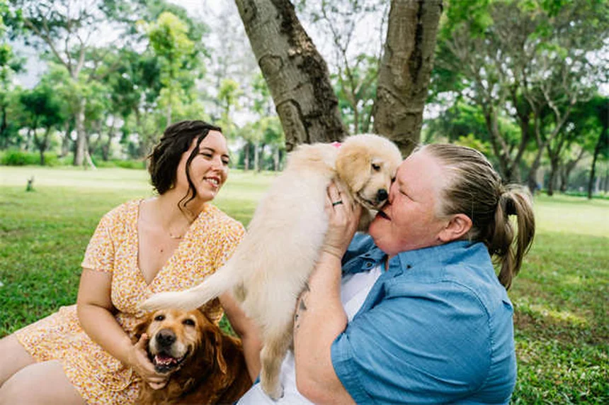 Ansiedade em Cães: Como Ajudar Seu Melhor Amigo a Se Sentir Seguro
